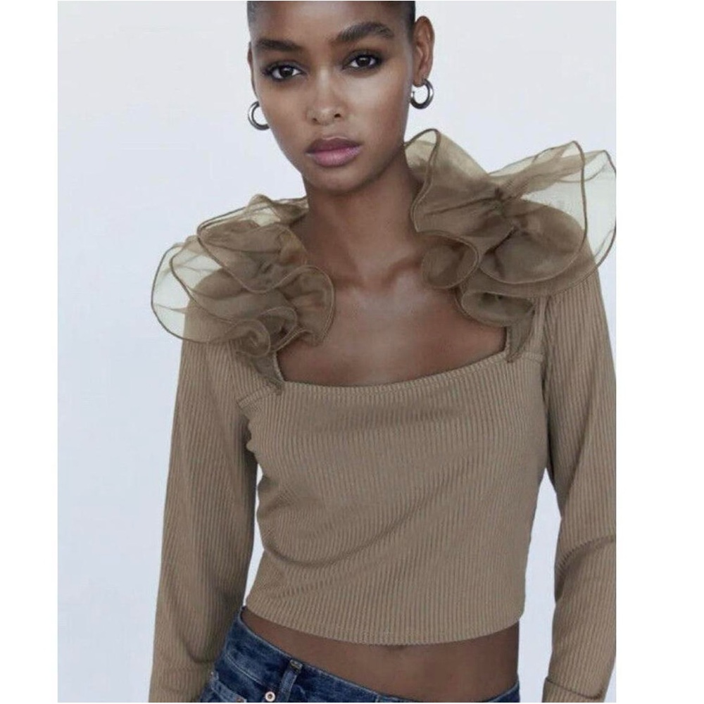 Zara Organza Ruffled Crop Top